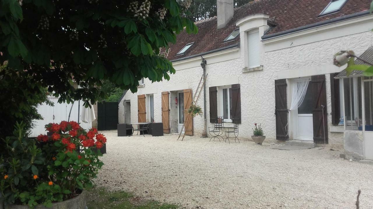 Bed and Breakfast Les Hardilles Châtillon-sur-Cher Exterior foto